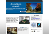 Website Example 1