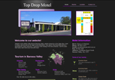 Website Example 11