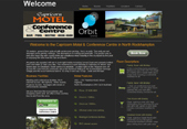 Website Example 2