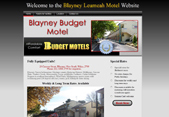 Website Example 8